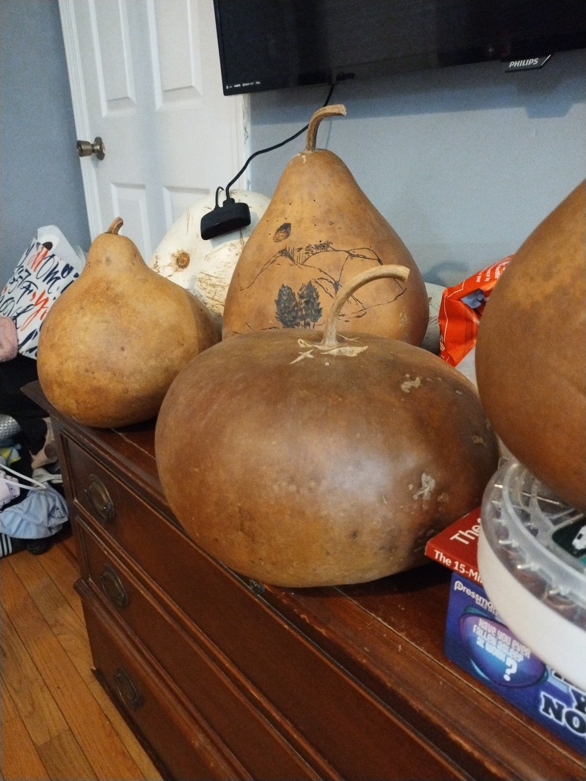 GOURD SEEDS FROM NORTH CAROLINA